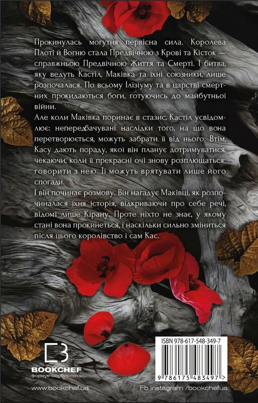 Кров і попіл. Книга 5. Душа з попелу та крові / Дженніфер Л. Арментраут