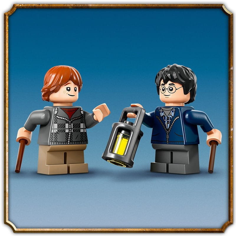 Конструктор LEGO Harry Potter Араґоґ у Забороненому лісі (76434)