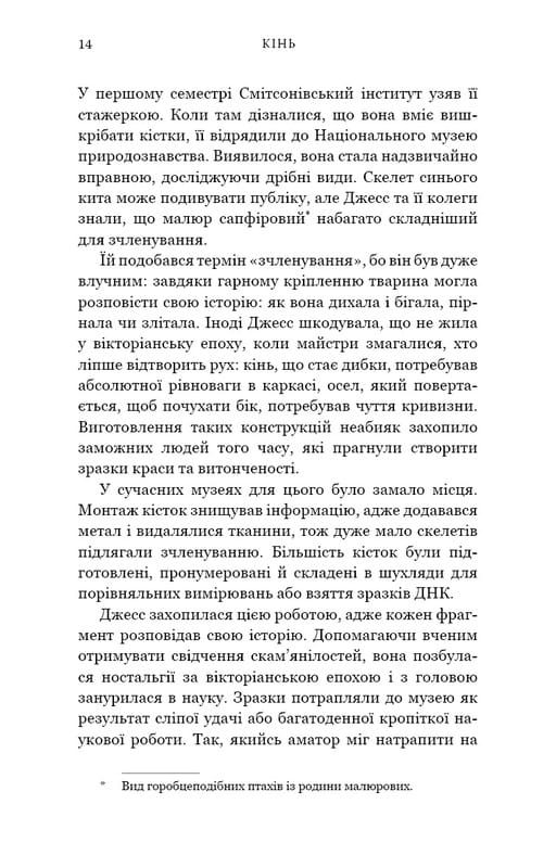 Кінь: роман / Джеральдін Брукс