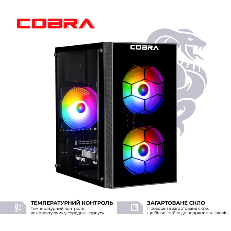 Персональный компьютер COBRA Advanced (I114F.16.S10.36.19812)