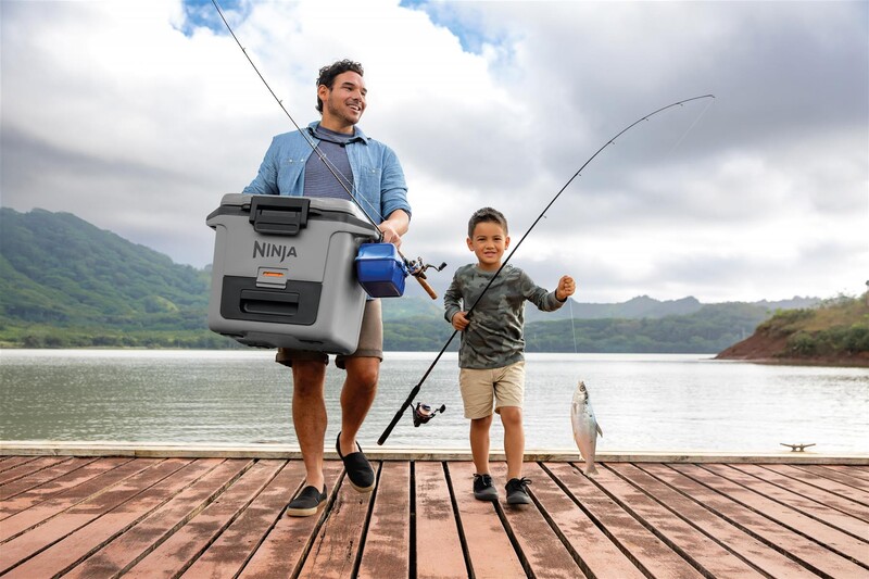 Термобокс Ninja FrostVault 28L Grey (FB131EUGY)