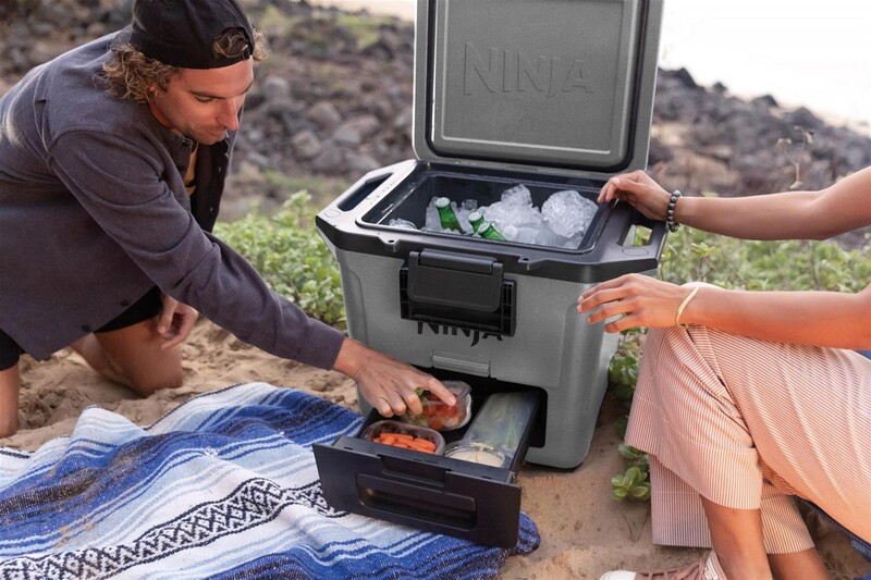 Термобокс Ninja FrostVault 28L Grey (FB131EUGY)