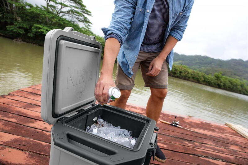 Термобокс Ninja FrostVault 28L Grey (FB131EUGY)