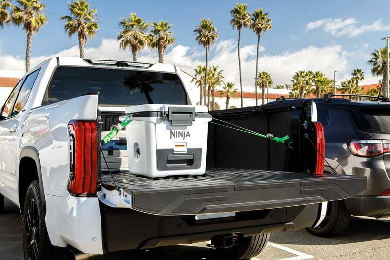 Термобокс Ninja FrostVault 28L White (FB131EUWH)