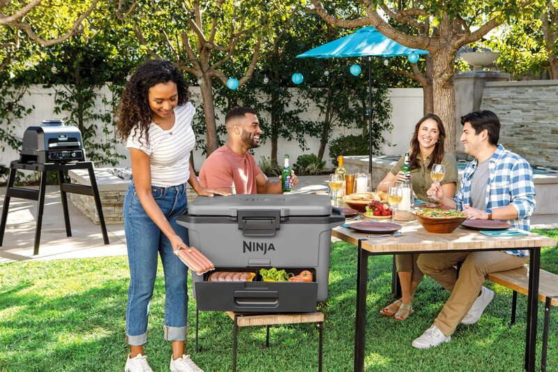 Термобокс Ninja FrostVault 47L Grey (FB151EUGY)