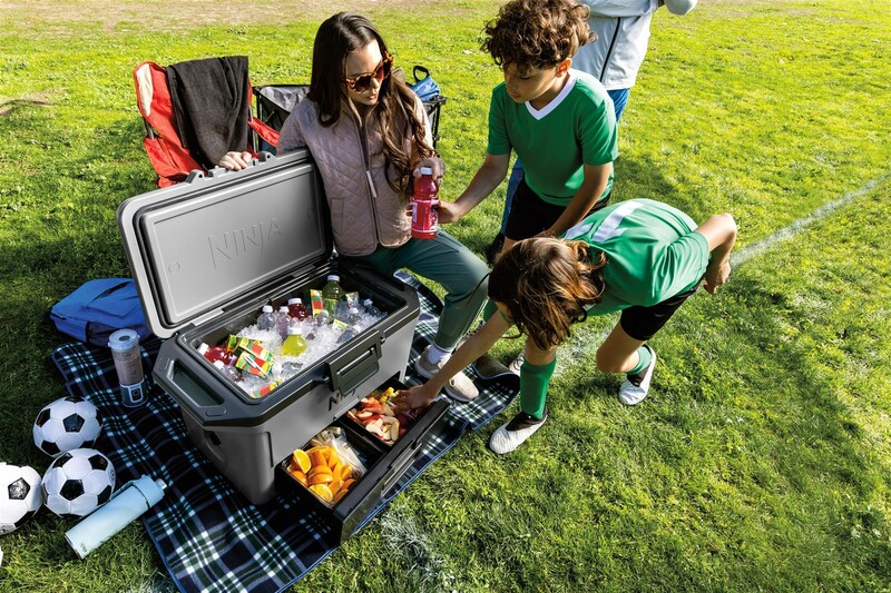 Термобокс Ninja FrostVault 47L Grey (FB151EUGY)