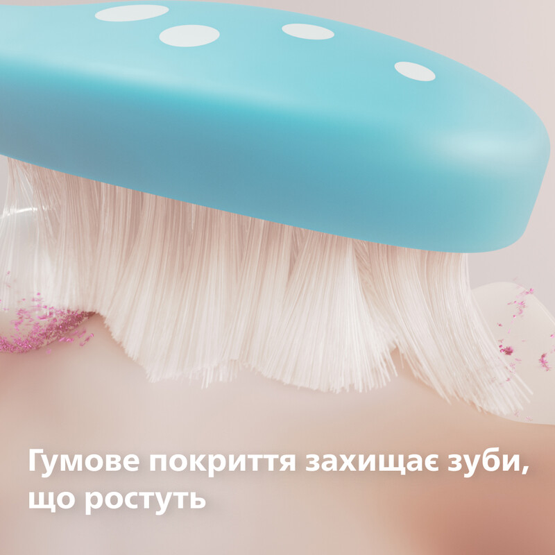 Насадка для зубной щетки Philips HX6042/90