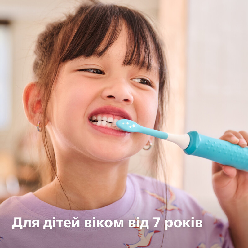 Насадка для зубной щетки Philips HX6042/90