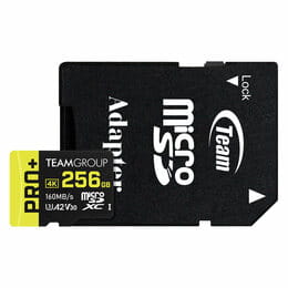 Купить Карта памяти MicroSDXC 256GB UHS-I/U3 Class 10 Team Pro+ R160/W110MB/s + SD-адаптер (TPPMSDX256GIA2V3003) Карта памяти MicroSDXC 256GB UHS-I/U3 Class 10 Team Pro+ R160/W110MB/s + SD-адаптер (TPPMSDX256GIA2V3003)