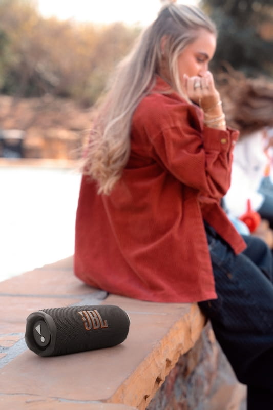Акустическая система JBL Flip 7 Black (JBLFLIP7BLK)