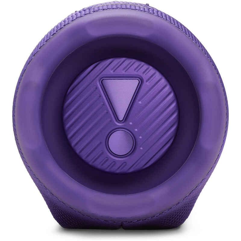 Акустическая система JBL Charge 6 Purple (JBLCHARGE6PUR)