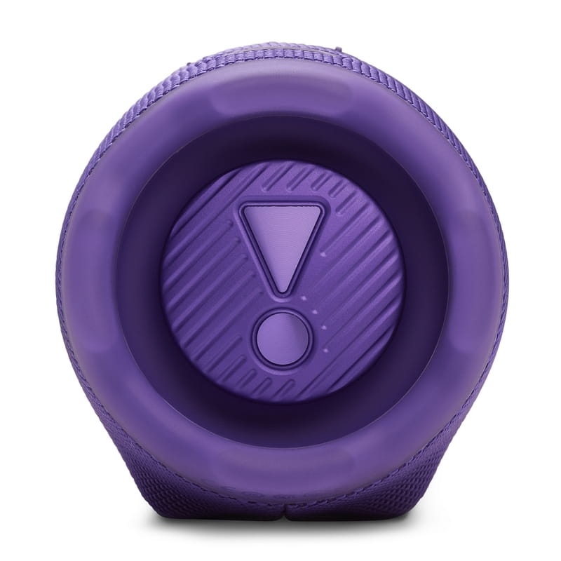 Акустическая система JBL Charge 6 Purple (JBLCHARGE6PUR)