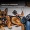 Фото - Акумуляторний пилосос Cecotec Conga Rockstar 2500 Thunder Flex Animal (CCTC-08427) | click.ua