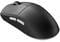 Фото - Мышь беспроводная Dark Project Nexus Ultra Wireless Black/White (DPP_NexusUltra_BW) | click.ua