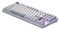 Фото - Клавиатура Dark Project ALU87 Daylight White/Grey (DPKB_DAYLIGHT_87_ANSI_UA) | click.ua
