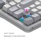 Фото - Клавиатура Dark Project ALU87 Daylight White/Grey (DPKB_DAYLIGHT_87_ANSI_UA) | click.ua