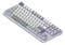 Фото - Клавиатура Dark Project ALU87 Daylight White/Grey (DPKB_DAYLIGHT_87_ANSI_UA) | click.ua
