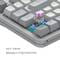 Фото - Клавиатура Dark Project ALU87 Daylight White/Grey (DPKB_DAYLIGHT_87_ANSI_UA) | click.ua