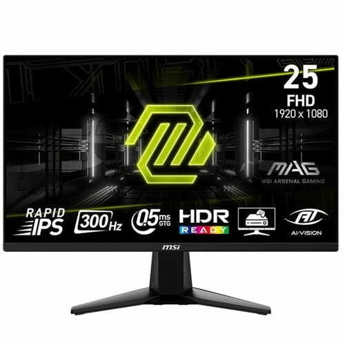MSI MAG 255XF 24.5 
