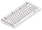 Фото - Клавиатура Dark Project ALU81 Terra Nostra White (DPKB_NOSTRA_81_ANSI_WHITE_UA) | click.ua