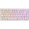 Фото - Клавиатура Dark Project ALU81 Terra Nostra White (DPKB_NOSTRA_81_ANSI_WHITE_UA) | click.ua