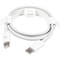 Фото - Кабель PowerPlant USB Type-C - Lightning (M/M), 18W, 1 м  (CA913268) | click.ua