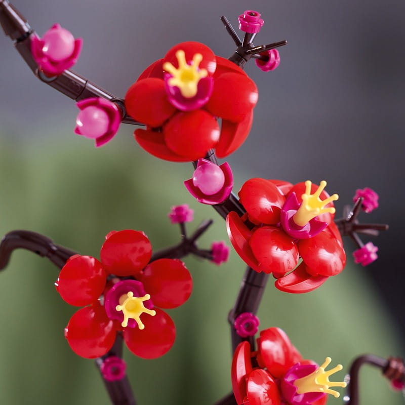 Конструктор LEGO Icons Botanicals Сливовый цвет (10369)