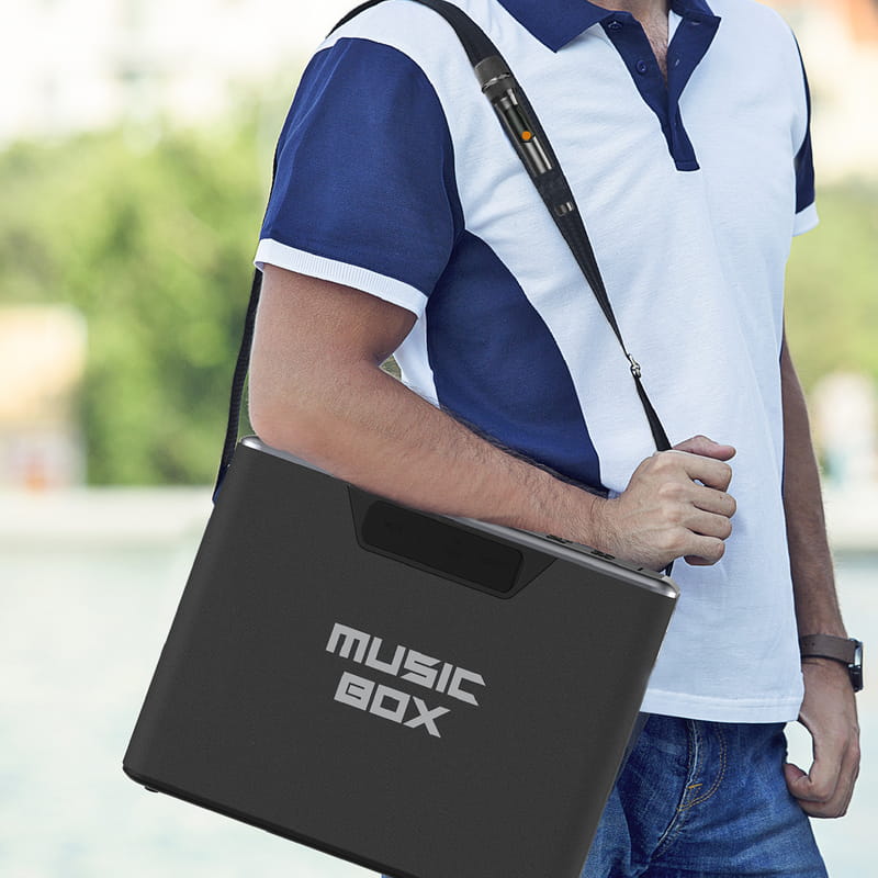 Акустическая система HiFuture MusicBox 100W Silver (musicbox.silver)