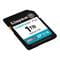 Фото - Карта памяти SDXC 1TB UHS-I/U3 Class 10 Kingston Canvas Go! Plus R200/W160MB/s (SDG4/1TB) | click.ua