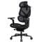 Фото - Крісло для геймерів TX3 Flex Pro Mesh Black (TEGC-3076101.12) | click.ua