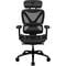 Фото - Крісло для геймерів TX3 XTC Mesh Black (TEGC-3054101.11) | click.ua