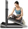 Фото - Бігова доріжка KingSmith Treadmill Z3 Hybrid Black (WP400P42) | click.ua