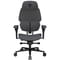 Фото - Кресло для геймеров TX3 Flex Pro Loft Dark Grey (TEGC-307510Z.Z3) | click.ua