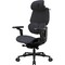 Фото - Крісло для геймерів TX3 Flex Pro Loft Dark Grey (TEGC-307510Z.Z3) | click.ua