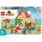 Фото - Конструктор LEGO Duplo Town Догляд за тваринами на фермі (10416) | click.ua