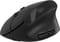 Фото - Миша бездротова Canyon MW-25 Ergonomic Black (CNS-CMSW25) | click.ua