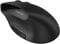 Фото - Миша бездротова Canyon MW-25 Ergonomic Black (CNS-CMSW25) | click.ua