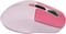 Фото - Миша бездротова Canyon MW-26 LCD Silent Dual Mode Pink (CNS-CMSW26P) | click.ua
