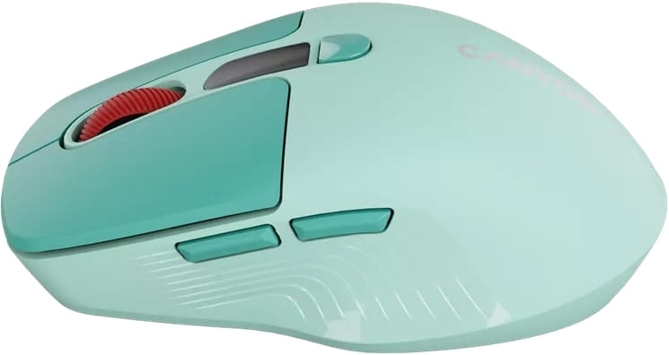 Мышь беспроводная Canyon MW-26 LCD Silent Dual Mode Green (CNS-CMSW26GR)