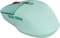 Фото - Мышь беспроводная Canyon MW-26 LCD Silent Dual Mode Green (CNS-CMSW26GR) | click.ua