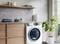 Фото - Фільтр для пральних машин від мікропластику Electrolux E9WHMIC1 | click.ua