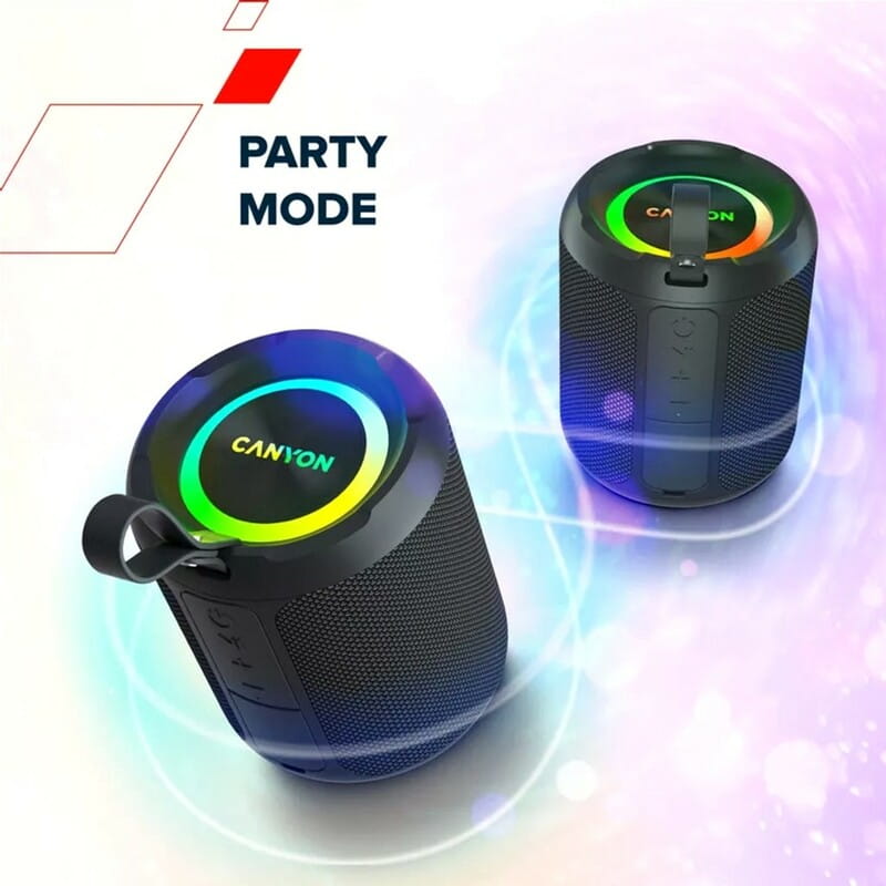 Акустическая система Canyon OnMove 11 Black (CNE-CBTSP11)