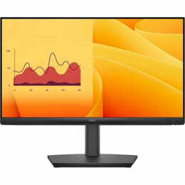 Монитор Dell 21.5" E2225HSM (210-BRDT) VA Black 100Hz