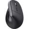 Фото - Миша бездротова Trust Bayo 2 Ergonomic Black (25146) | click.ua