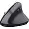Фото - Миша бездротова Trust Bayo 2 Ergonomic Black (25146) | click.ua