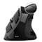 Фото - Миша бездротова Trust Voxx Rechargeable Ergonomic Black (23731) | click.ua