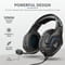 Фото - Гарнитура Trust GXT 488 Forze-G для PS4 Black (23530) | click.ua