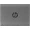 Фото - Накопичувач зовнішній SSD USB 2TB HP P900 Gray (7M695AA) | click.ua
