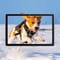 Фото - Защитное стекло BeCover для Blackview Tab 70 WiFi 10.1" (712823) | click.ua