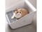 Фото - Лоток для кішок Petkit Pet Pura Cat Litter Box White (P951) | click.ua